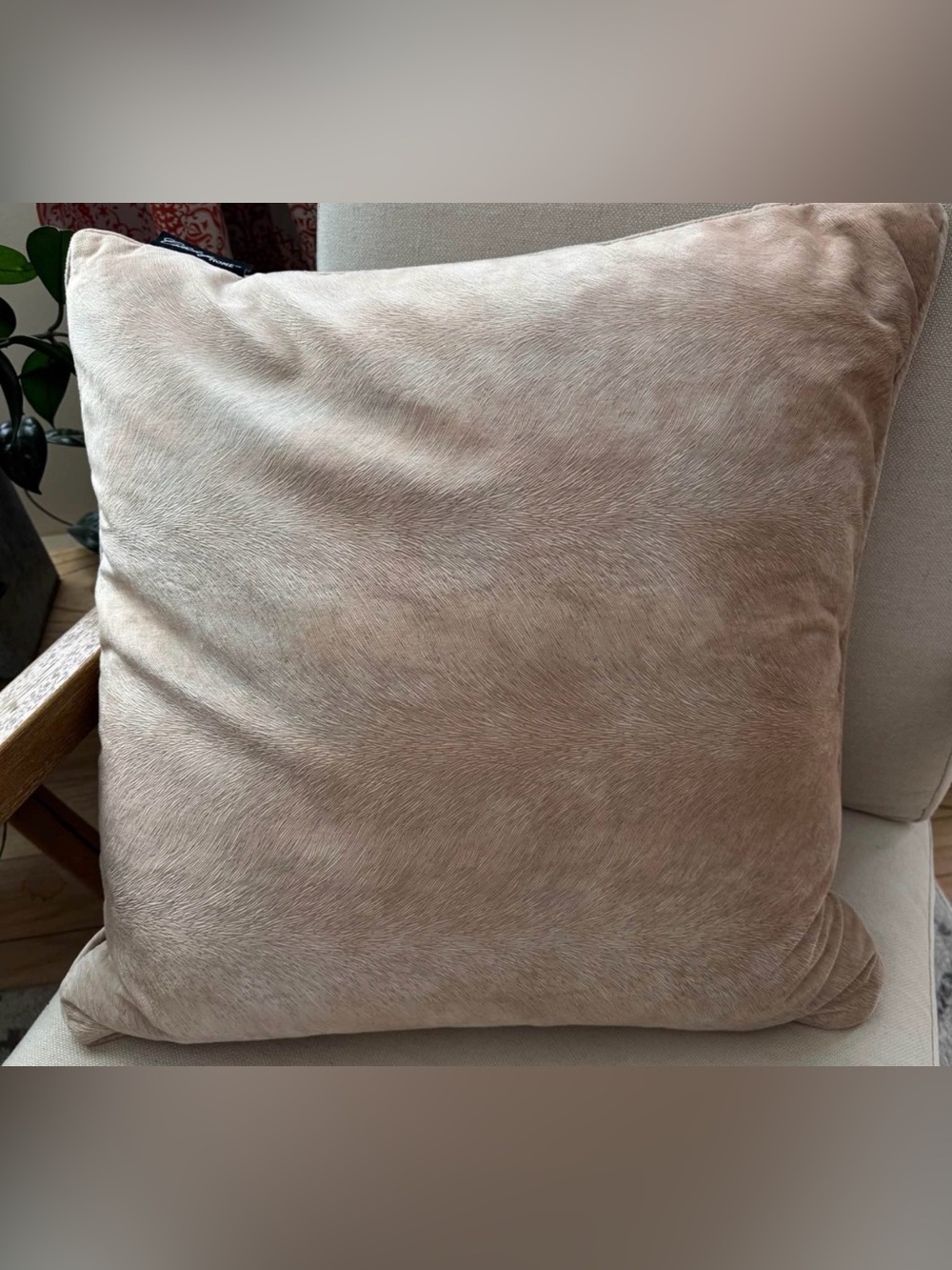 Plush Cream Decorative Throw Pillow - Soft Home Accent